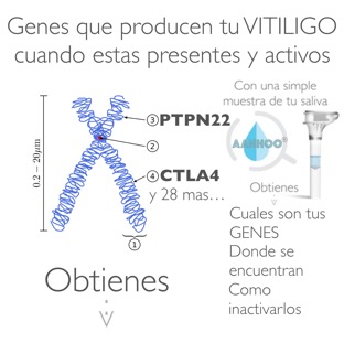 vitiligo_genes.png